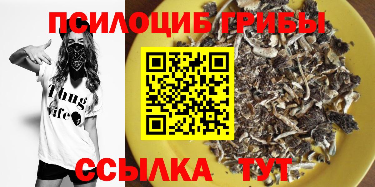 Псилоцибиновые грибы GOLDEN TEACHER Бутурлиновка